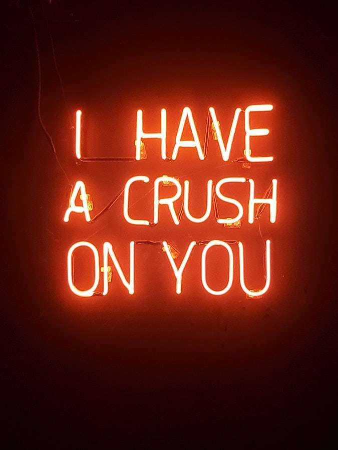 I have a crush on you.